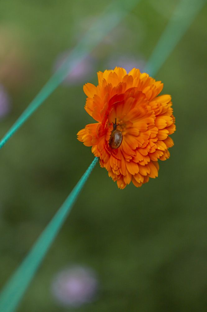 Photograph by Ольга Крючкова