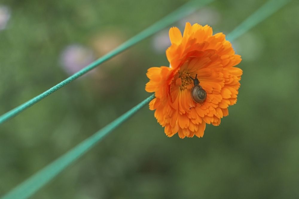 Photograph by Ольга Крючкова