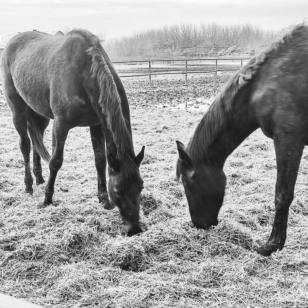 Фотография автора Нина Зинченко