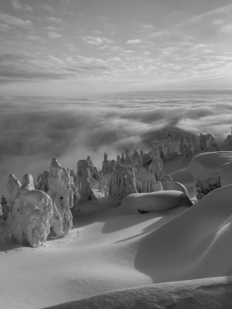 Photograph by Евгения