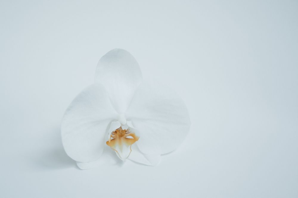 Photograph by Ольга Осинина