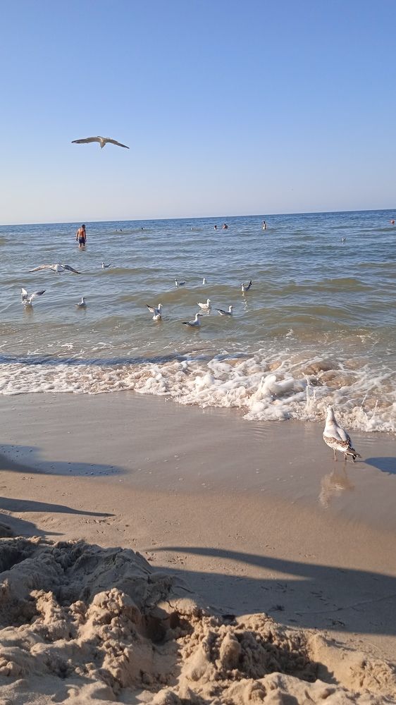 Photograph by Наталия Колемасова