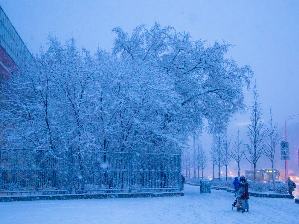 Photograph by Ольга Заповедная