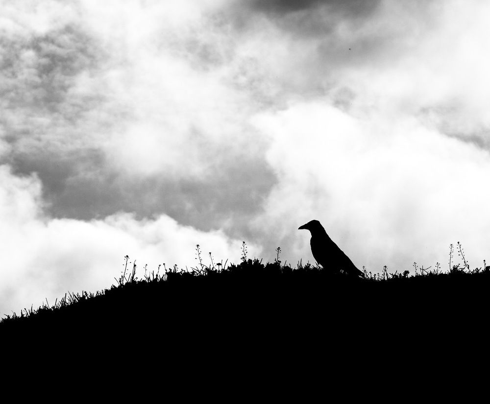 Photograph by Artjoms Berdjugins