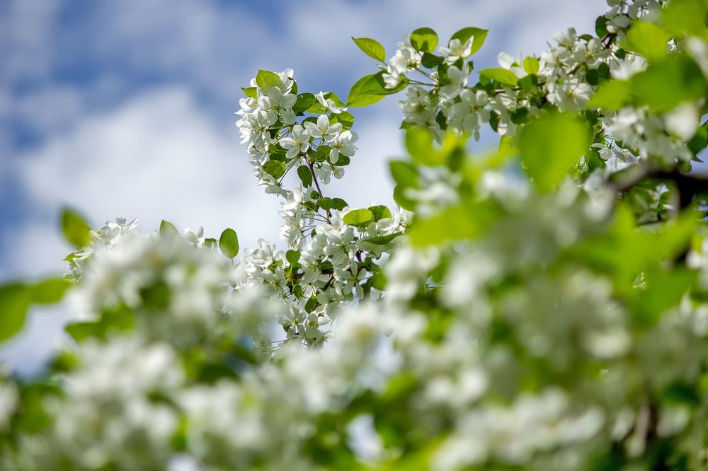 Photograph by Елена