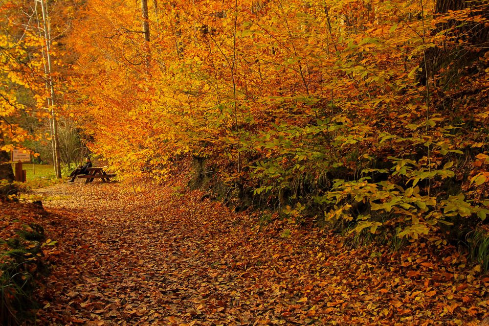 Фотография автора Orhan Bektaş