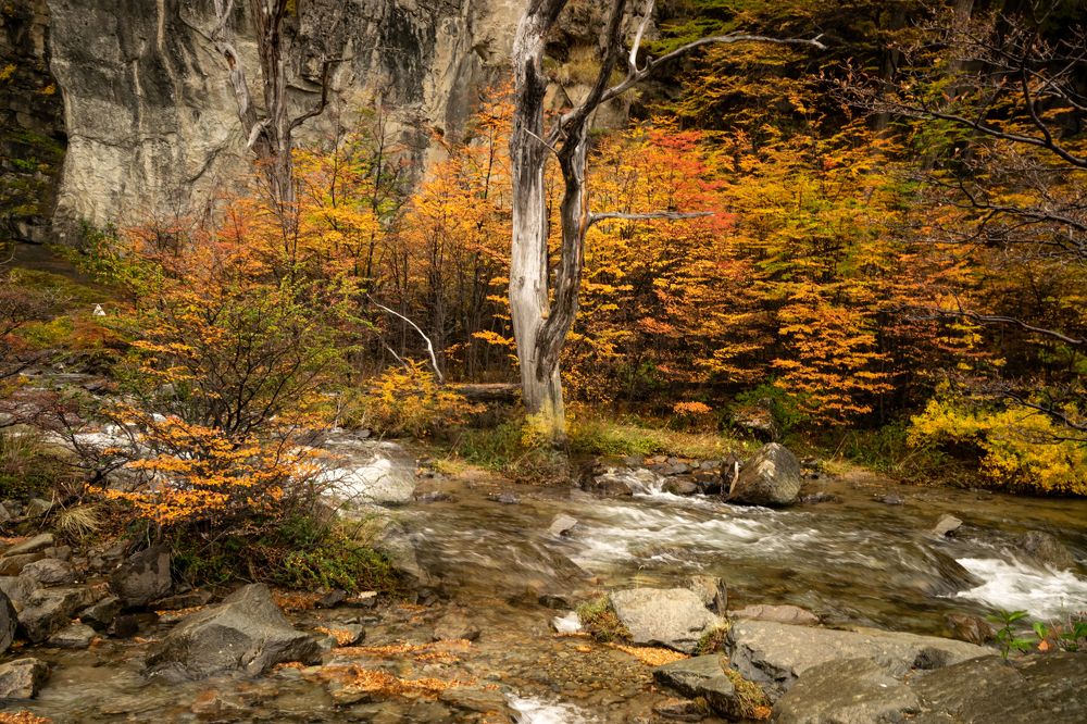 Photograph by jorge arnoten