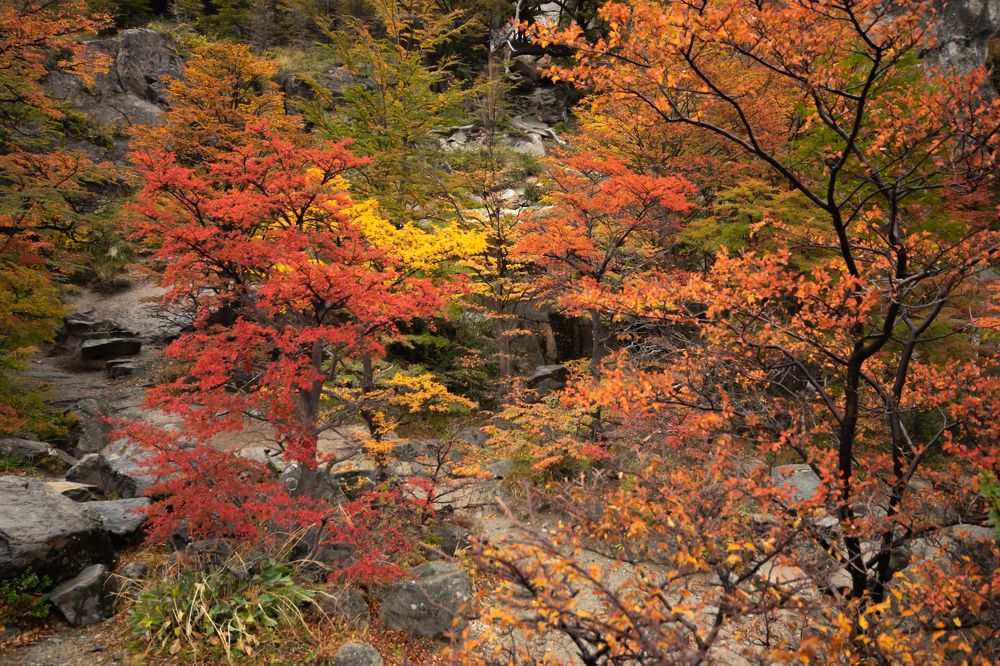 Photograph by jorge arnoten