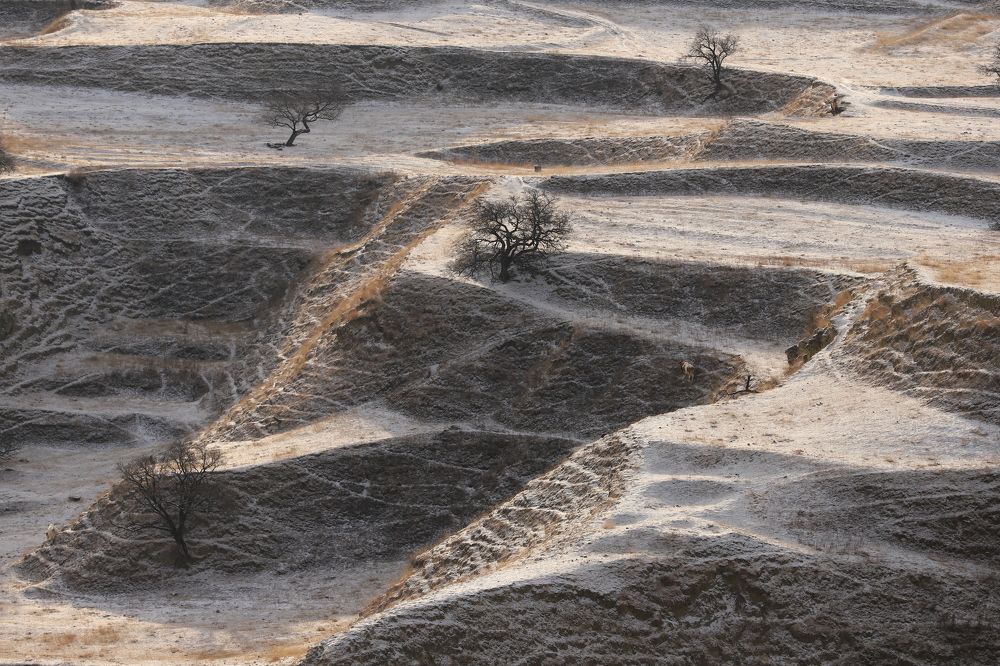 Зимние террасы в лучах восходящего солнца