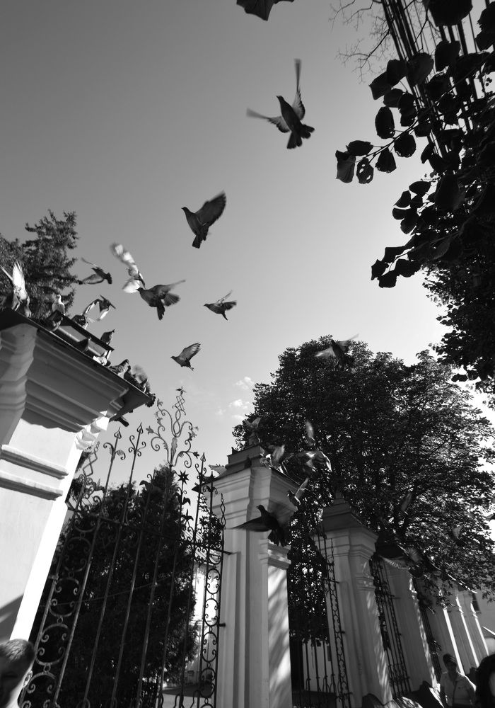 Photograph by Наталья Маслова