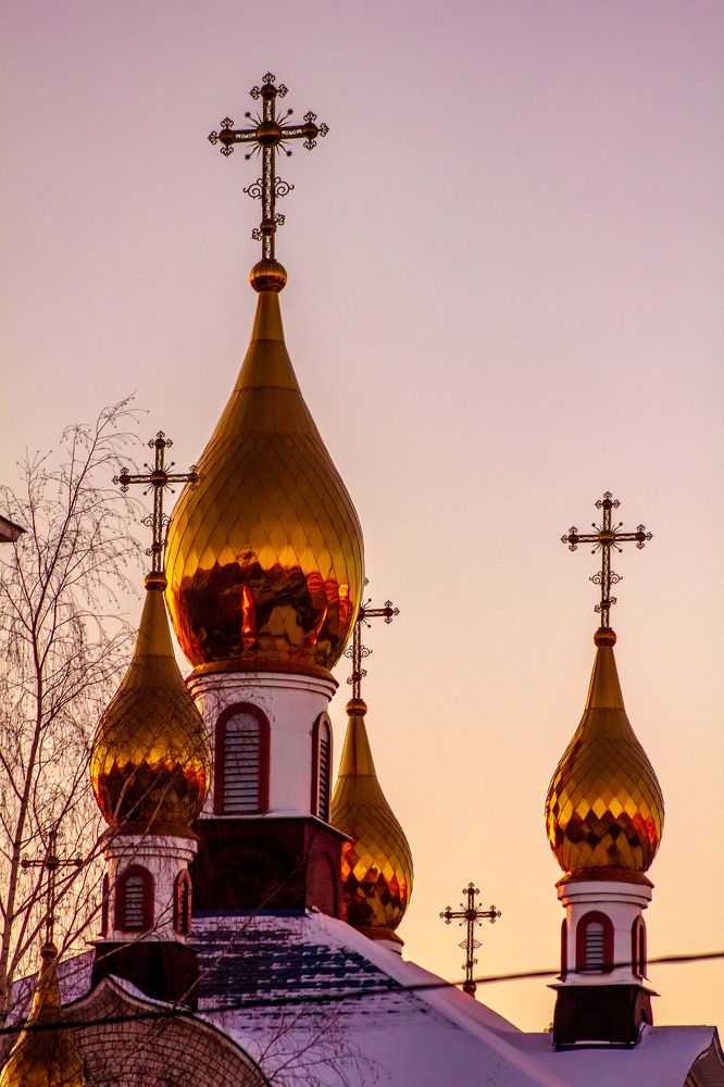 Photograph by Людмила Новосёлова