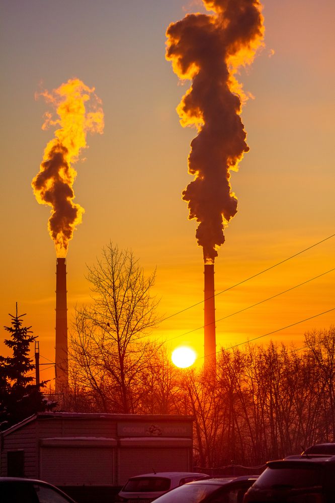 Photograph by Людмила Новосёлова