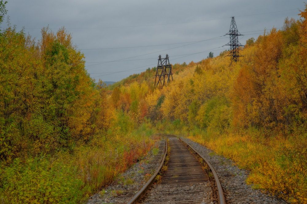 Photograph by Марина Зборацкая