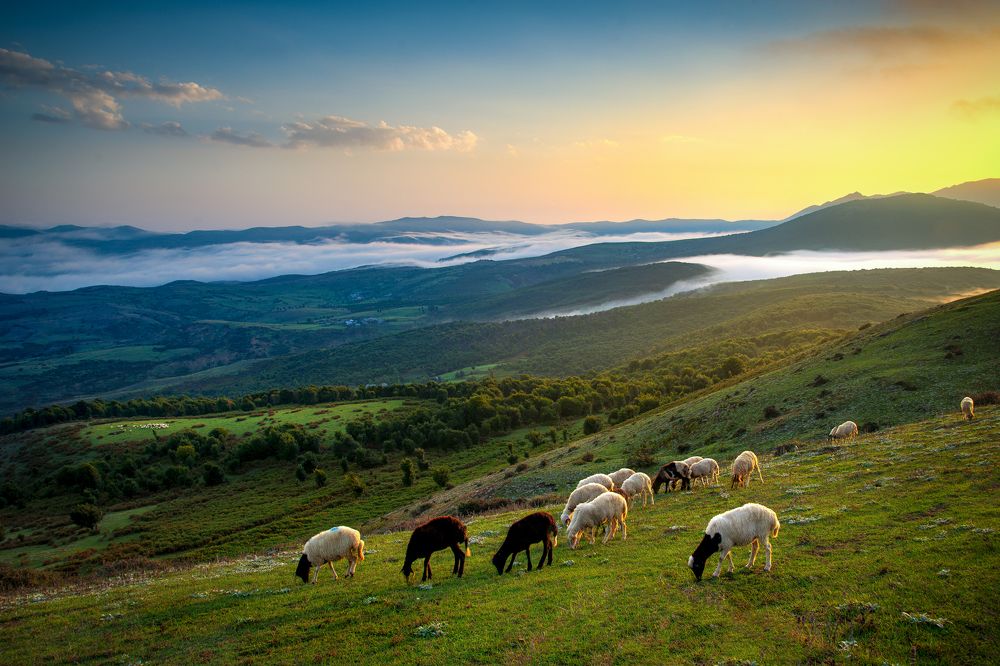 Photograph by Riahi Hosein