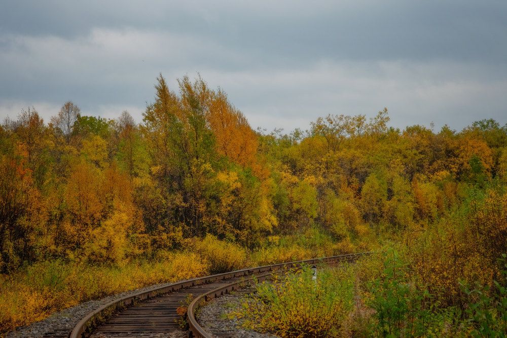 Photograph by Марина Зборацкая