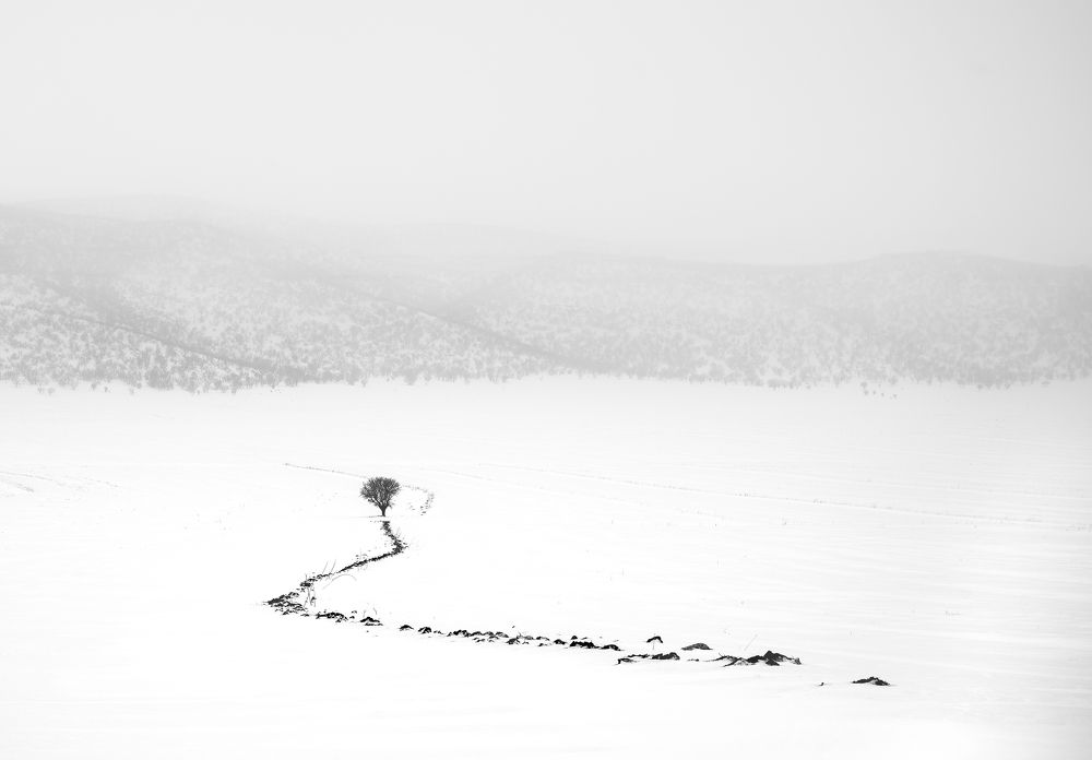 Photograph by Riahi Hosein