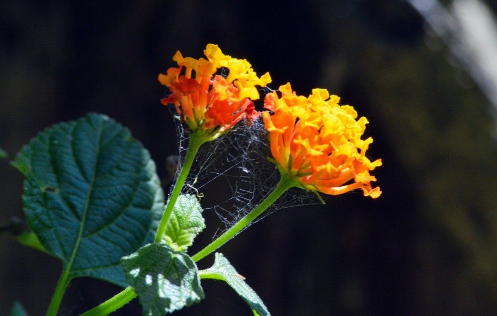 Photograph by Andre Nunes