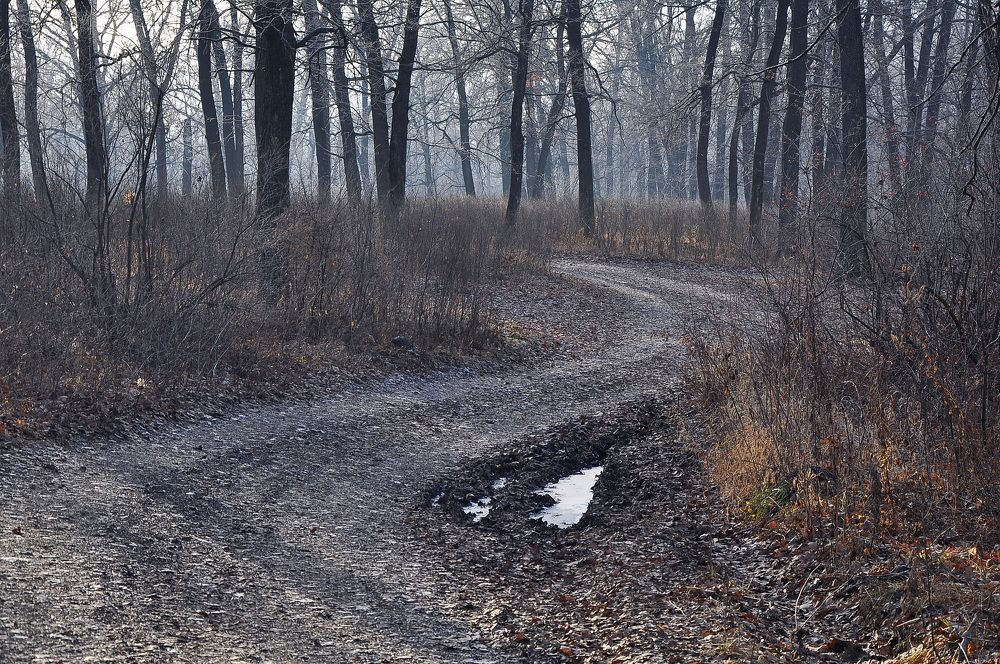 Photograph by Валерий Дубровин
