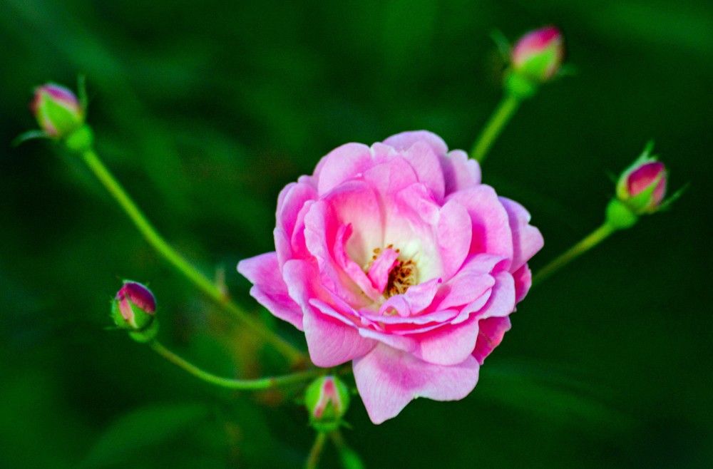 Photograph by Andre Nunes