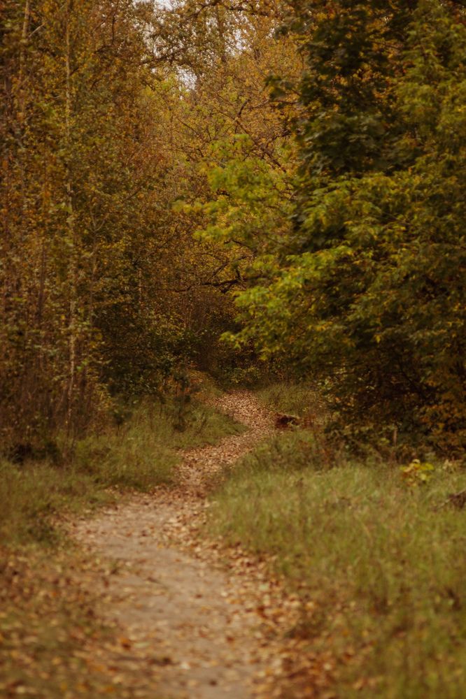 Photograph by Елена Квасова