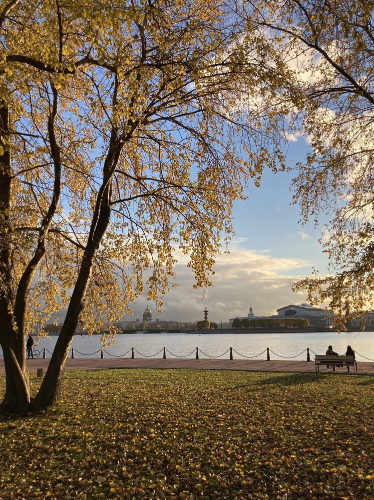 Осень в городе