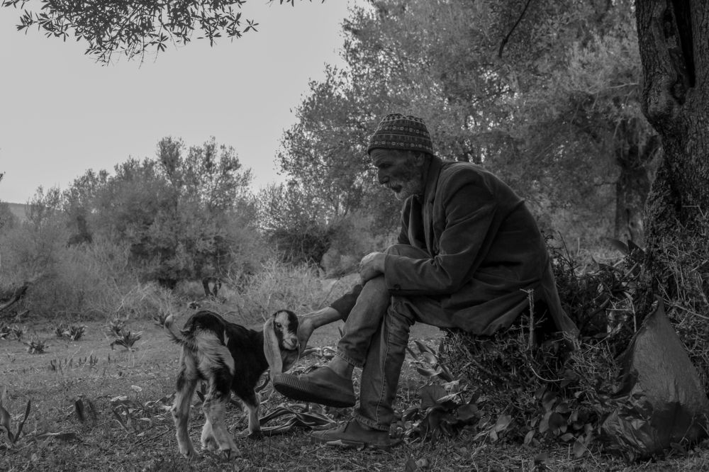 Photograph by Islam Traikia