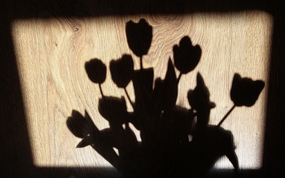 Photograph by Наталья Дубовкина