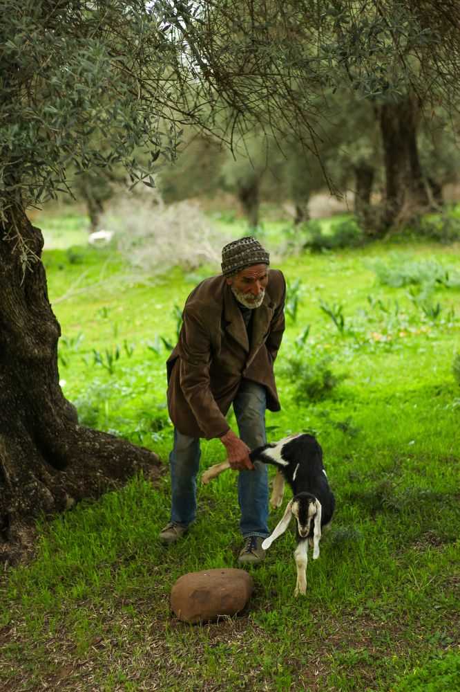 Photograph by Islam Traikia