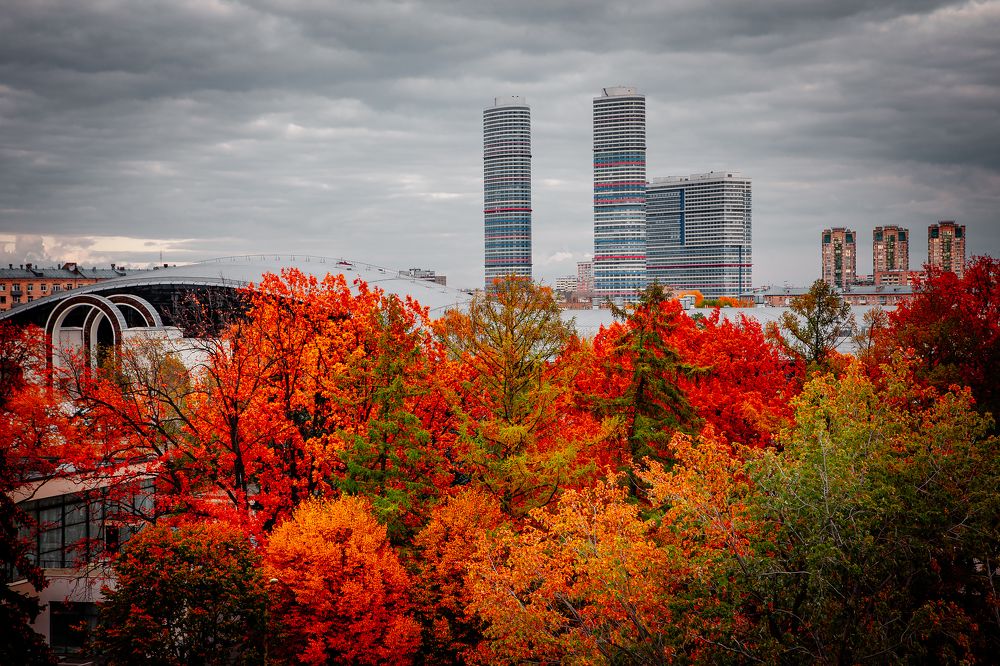 Photograph by Трепольский Дмитрий