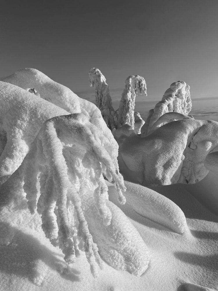 Photograph by Евгения