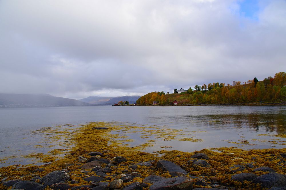 Photograph by Radu Marian