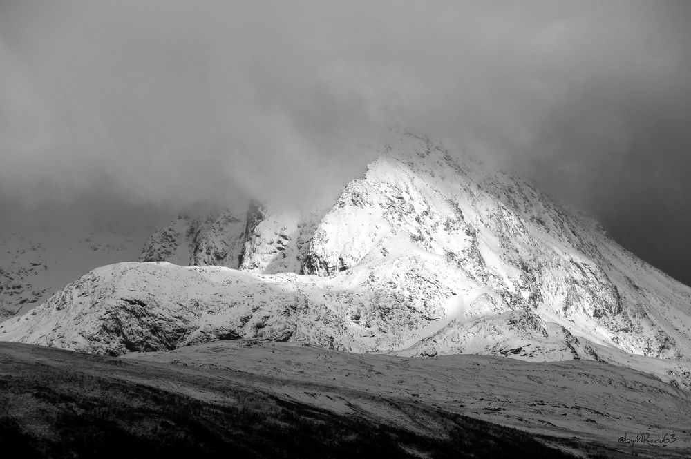 Photograph by Radu Marian