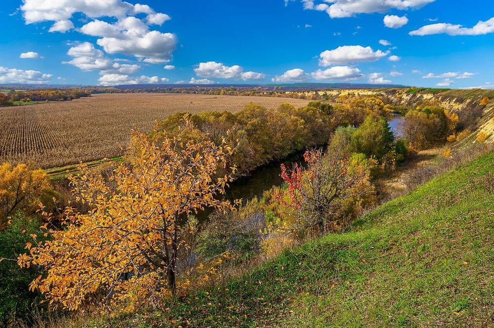 Фотография автора Николай Бологов