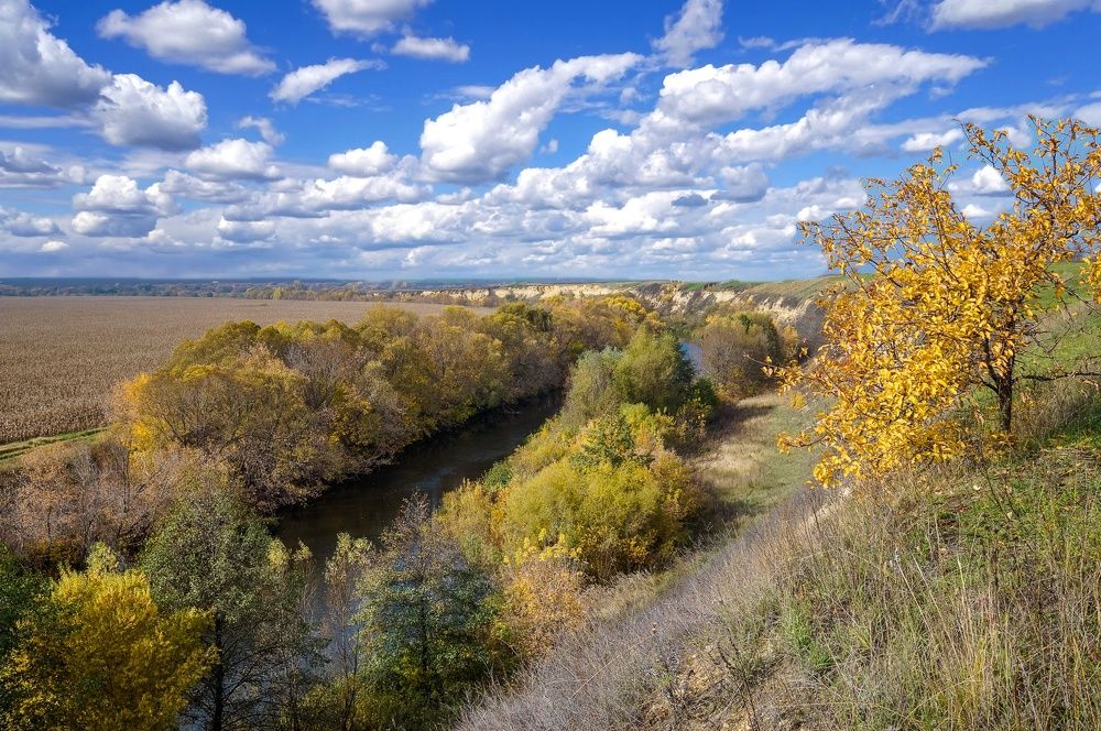Фотография автора Николай Бологов