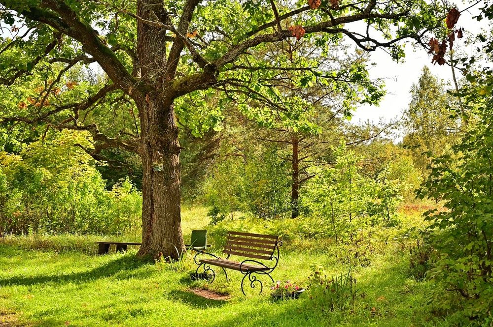 Photograph by Tanzilya Gabidullina