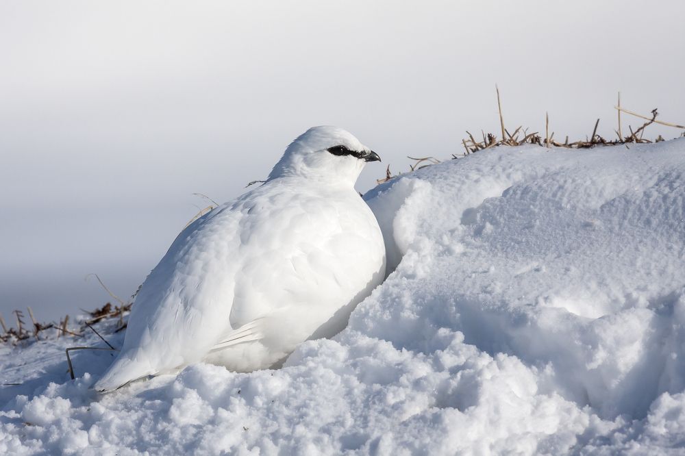 Фотография автора Дмитрий Уткин