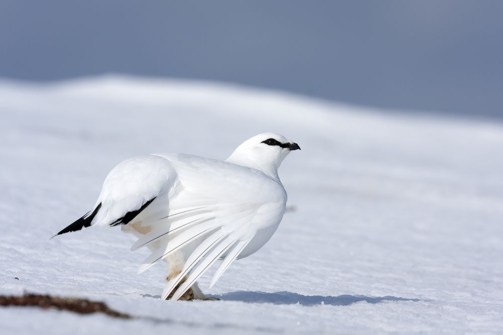 Фотография автора Дмитрий Уткин