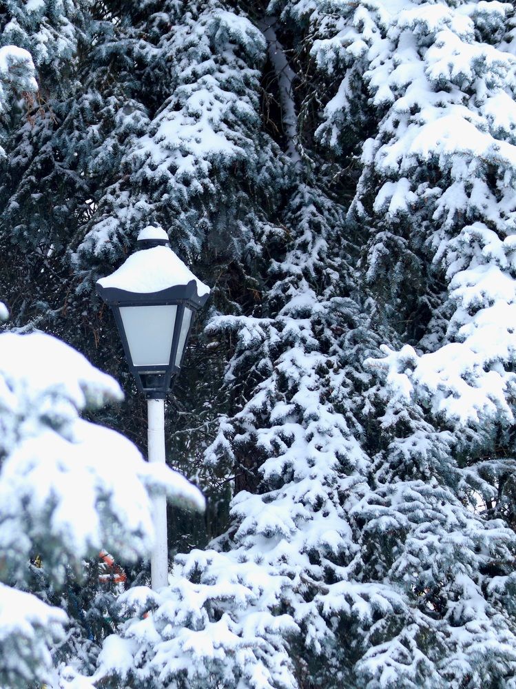 Photograph by Андрей Хитрун