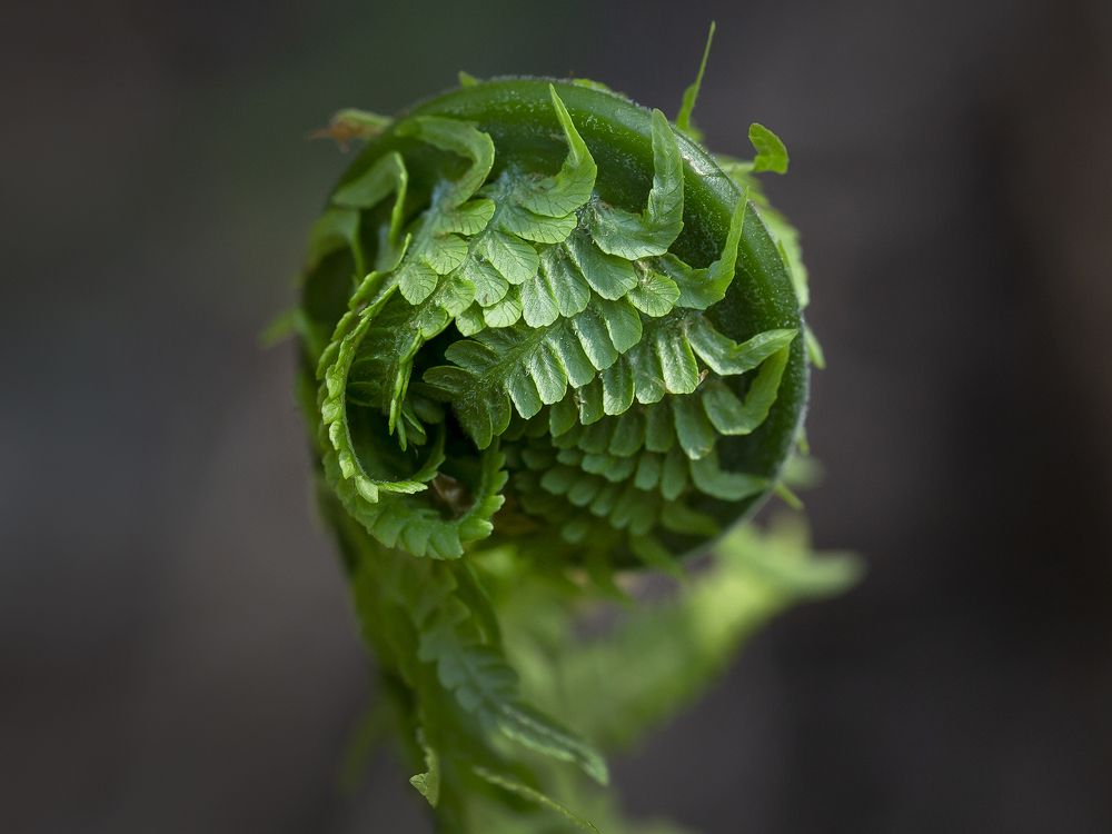 Photograph by Олег Тетерин