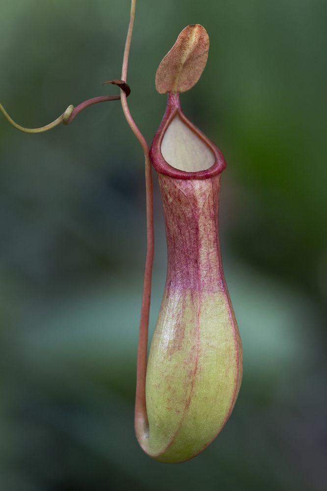 Photograph by Олег Тетерин