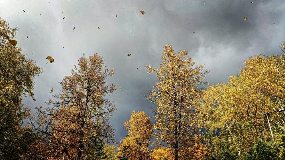 Photograph by Александр Лунин