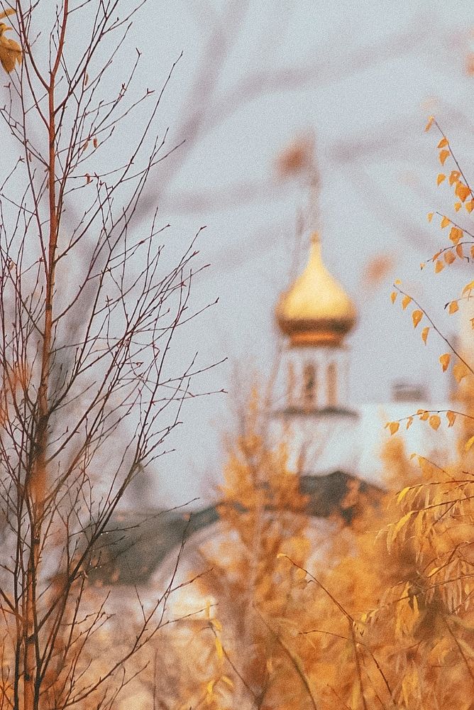 Photograph by Вероника Герасимова