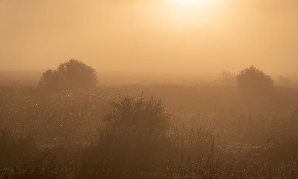 Photograph by Олег Волков