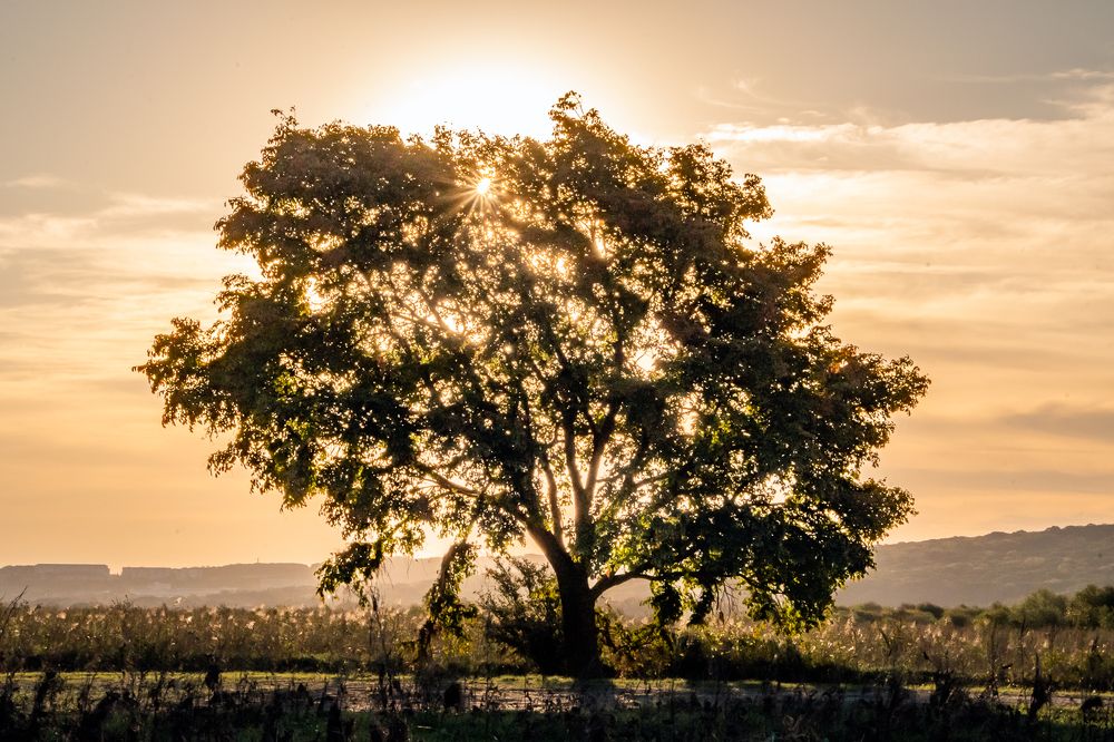 Photograph by Олег Волков