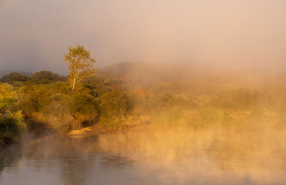 Photograph by Олег Волков