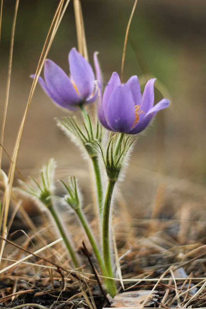 Фотография автора Egor Peshkov