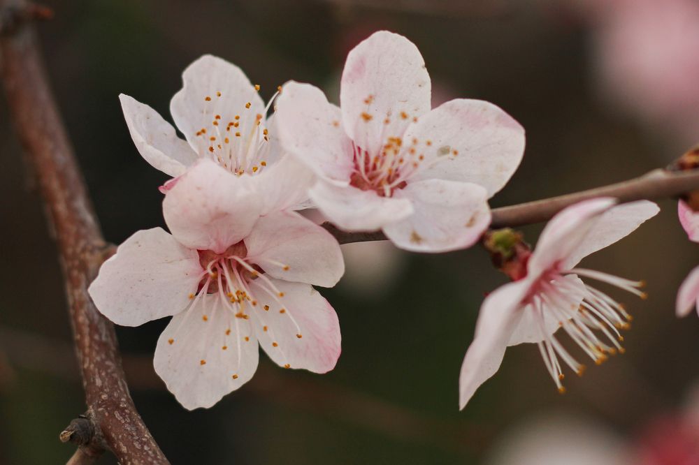 Фотография автора Egor Peshkov