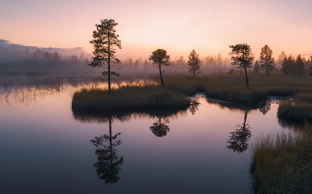 Photograph by Дмитрий Геращенко