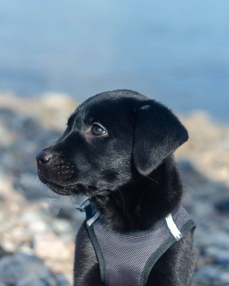 Photograph by Вадим Басов