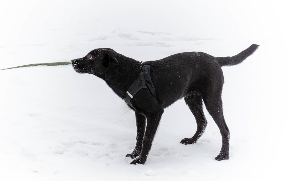 Photograph by Вадим Басов